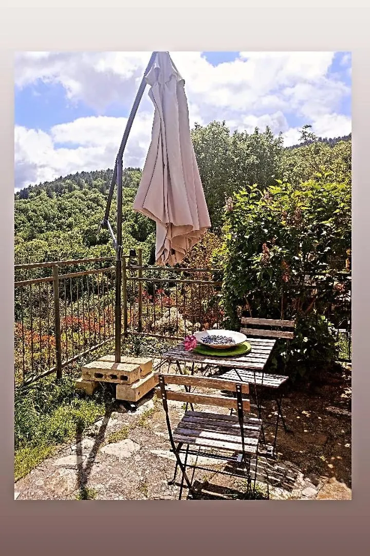 Il Podere Di Massi Barberino di Mugello Landhaus