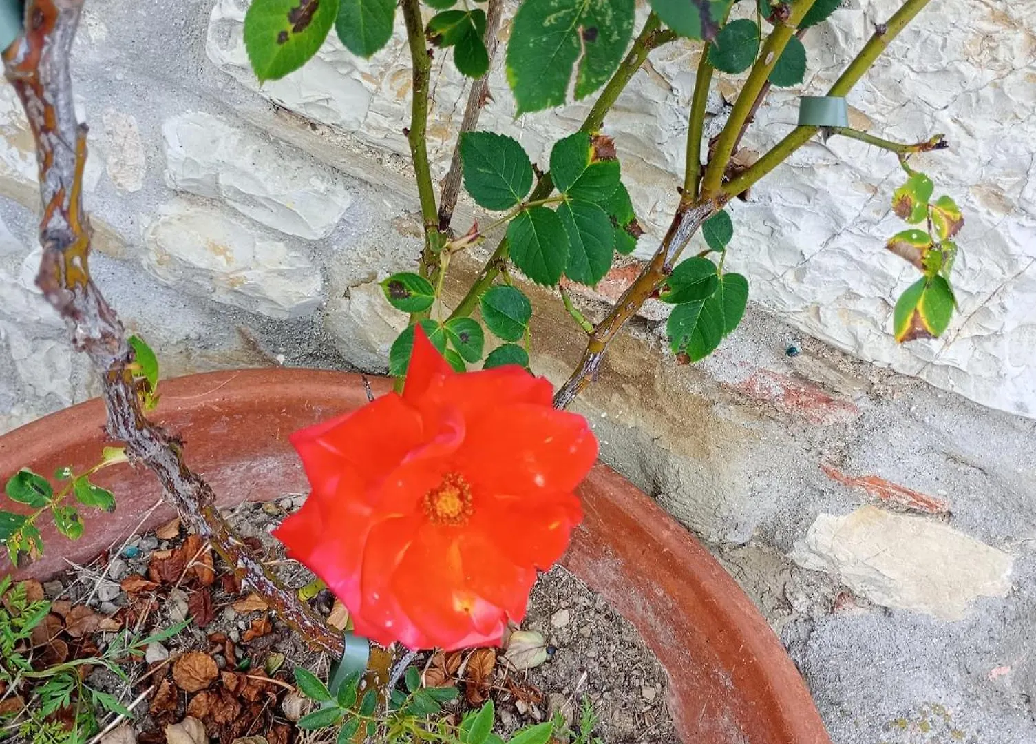 Il Podere Di Massi Barberino di Mugello Italien